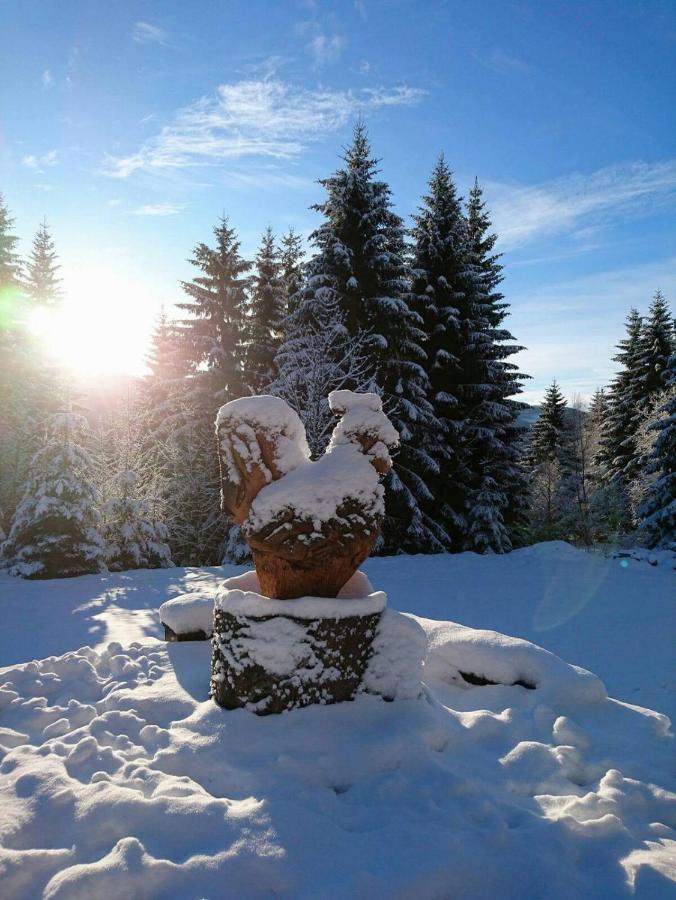 Horska Bouda U Kokrhace Hotel Dolní Malá Úpa Buitenkant foto